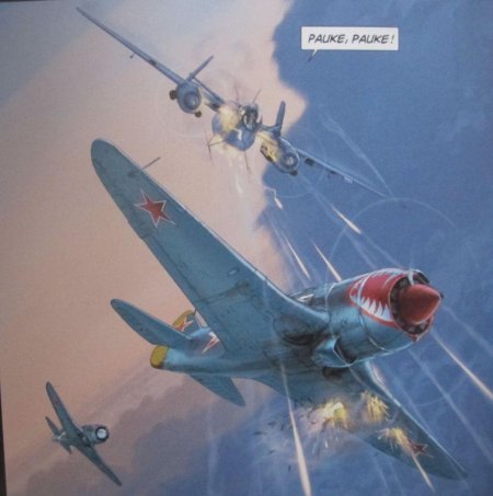 Romain Hugault Авиация