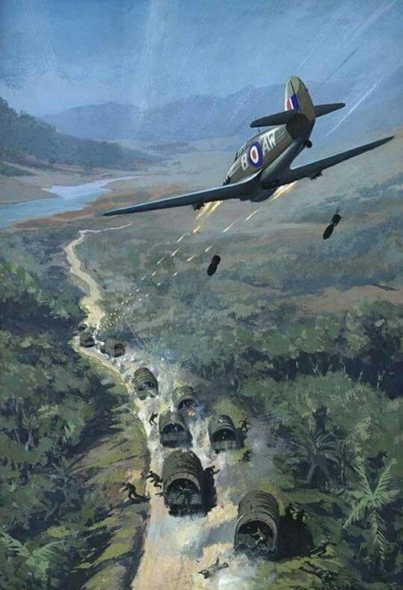 Самолет в джунглях