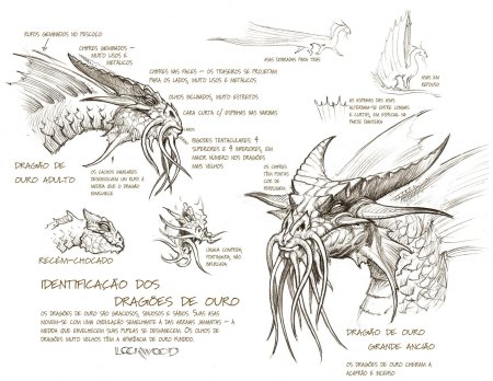 ДНД, анатомия драконов