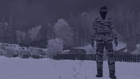 Arma 2 Winter