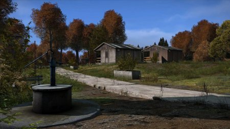 DAYZ деревня