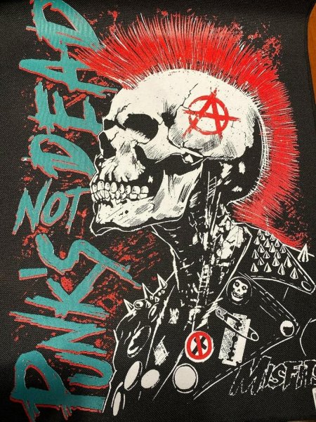 Анархия панки