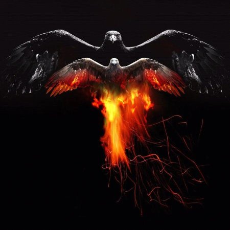 Птица Феникс Перерождение