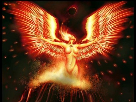 Птица Феникс возрождается из пепла