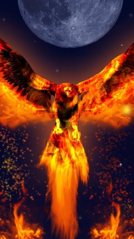 Огни химеры