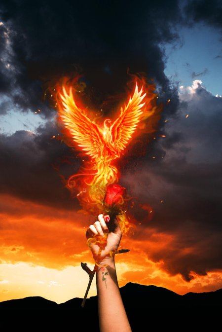 Феникс Возрождение Восставший из пепла