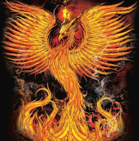 Рарог Сокол Феникс Финист