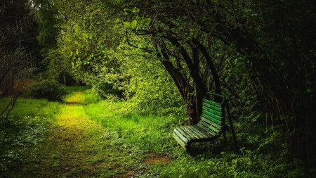 Скамейка на природе