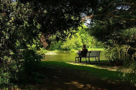 Hyde Park лавочки