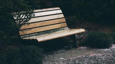 Скамейка в парке