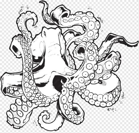 Осьминог эскиз