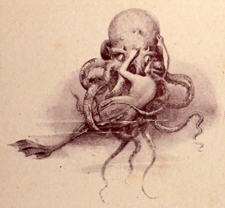 Осьминог гравюра