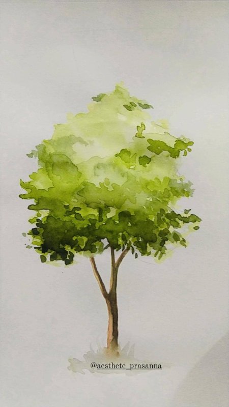 Дерево акварелью для начинающих