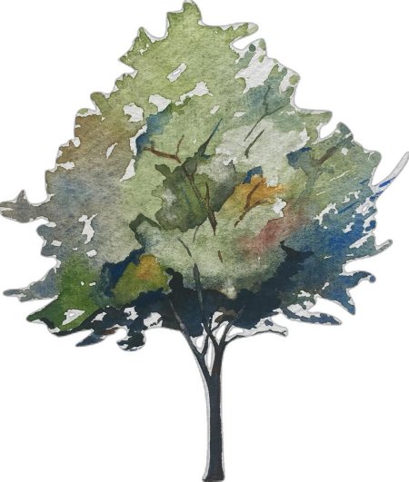 Акварель «деревья в Санлисе» Пруста