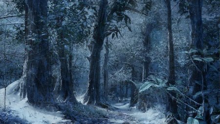 Сказочный зимний лес