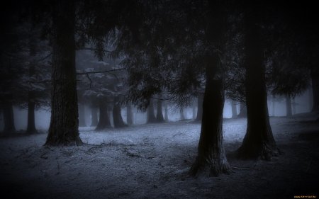 Страшный зимний лес