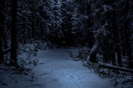 Страшный зимний лес