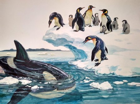 Антарктида кит Касатка