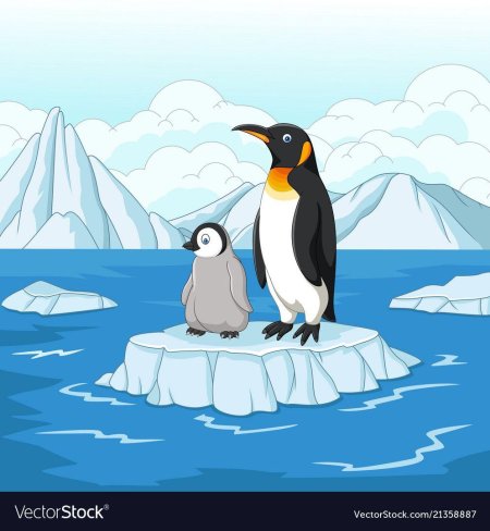Пингвины в Антарктиде на карте