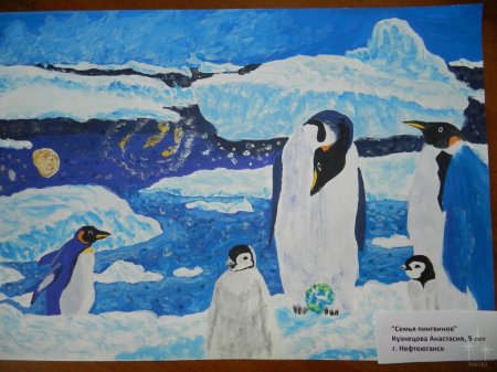 Пингвины на льдинах