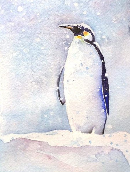 Пингвин акварелью