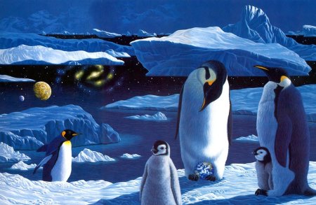 Уильям Шиммель картины