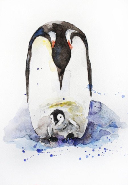 Пингвин акварелью