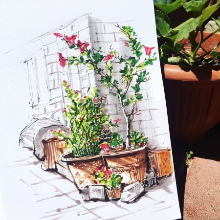 Ботанический скетчинг като Иванникова