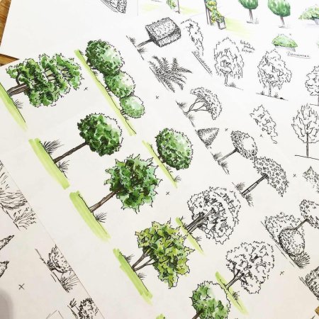 Като Иванникова ландшафтный скетчинг