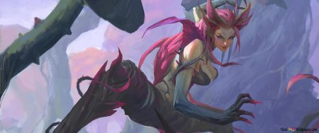 Прядильщица историй Зайра