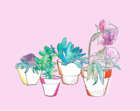 Растения иллюстрации