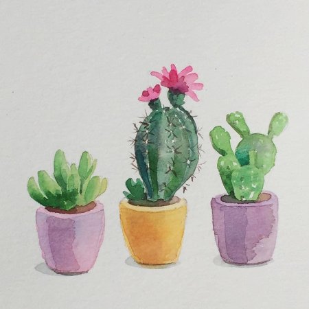 Кактусы скетч акварелью