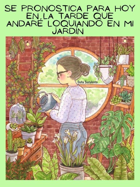 Комнатные растения иллюстрации