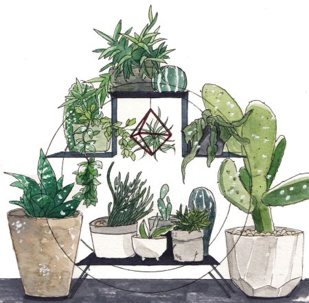 Комнатные цветы арт