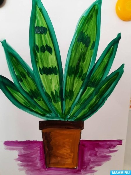 Рисование комнатные растения