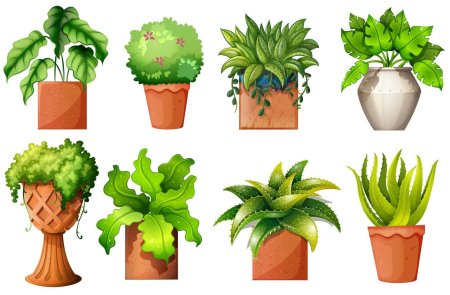 Растение в горшке комнатное вектор