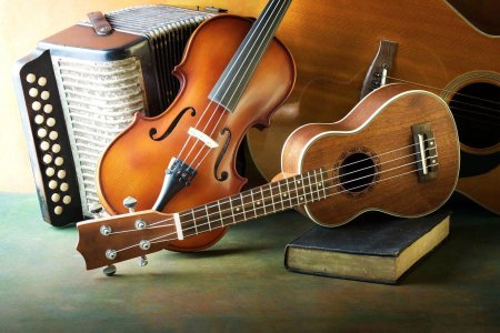 Скрипка и гитара
