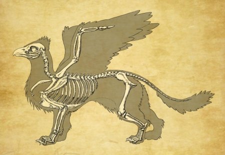 Скелет грифона