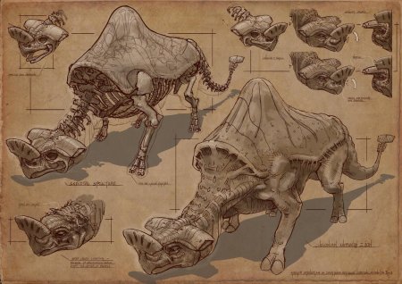 Анатомия фэнтезийных существ