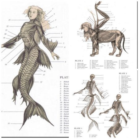 Эрик Хадспет Химера