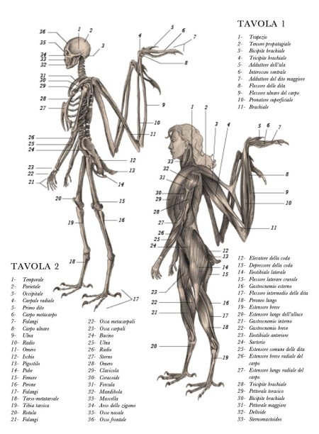 Эрик Хадспет - воскреситель