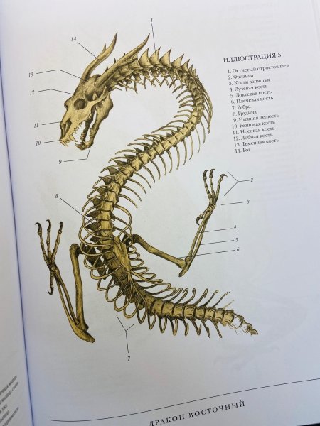 Эрик Хадспет - воскреситель