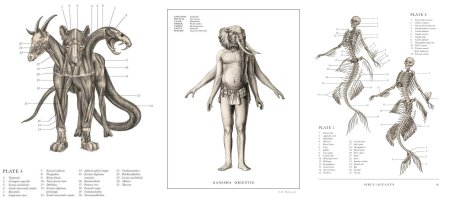 Эрик Хадспет - воскреситель