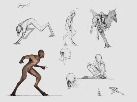 Вервольф референс позы