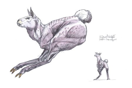 Анатомия мифических существ