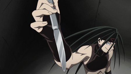 Энви стальной алхимик 2003