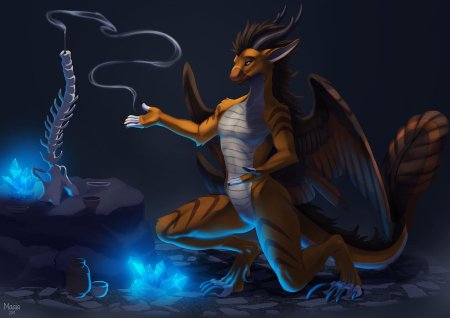 Фурри Антро