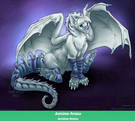 Фрост фурия дракон