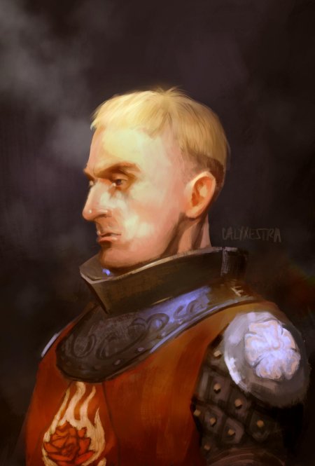 Ведьмак Рыцари ордена пылающей розы