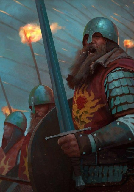 Орден пылающей розы Ведьмак 1